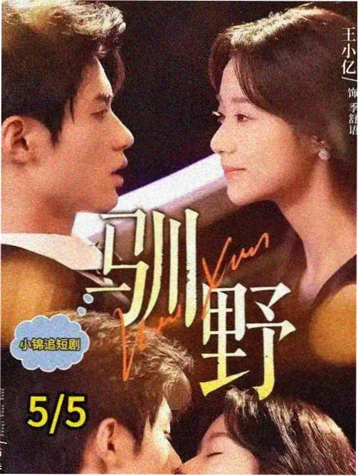 汪汪队立大功第五季特别篇